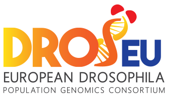 Logo_DrosEu