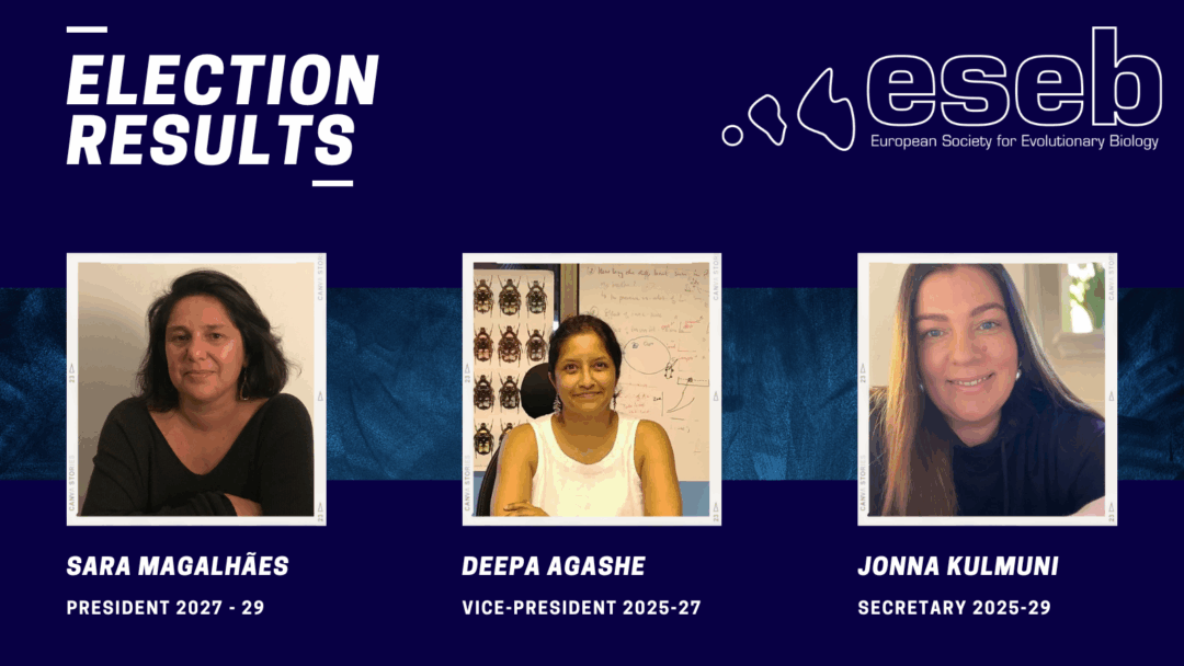 Graphics elections 2025